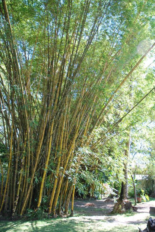 贝索维托山林小屋（仅限成人） 帕里塔 外观 照片