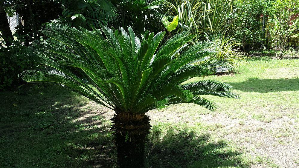 贝索维托山林小屋（仅限成人） 帕里塔 外观 照片